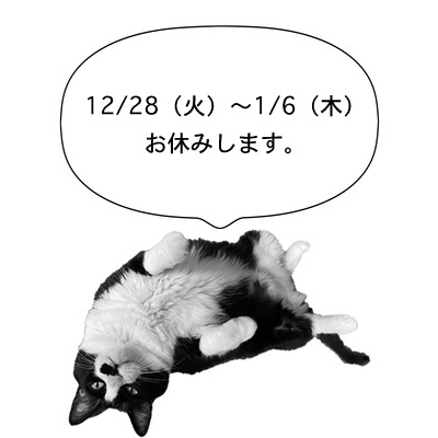 211228cat.jpg