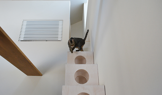 猫階段を颯爽と降りる「ねこふく」。