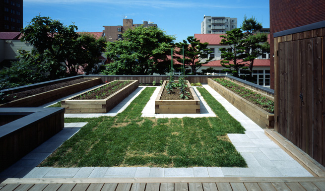 屋上菜園から北側幼稚園を望む。