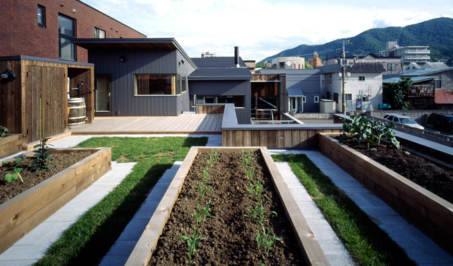 屋上菜園から藻岩山を望む。バタフライ屋根からの雨水を左手の樽に集水、菜園に利用する仕掛け。