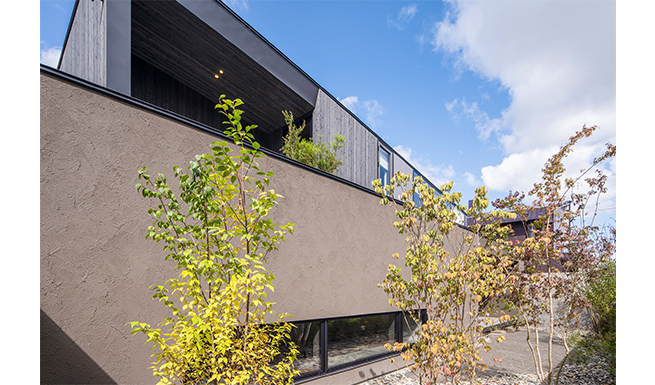 エントランス前メインコートよりの見上げ。